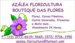 Azalea Floricultura foto 2